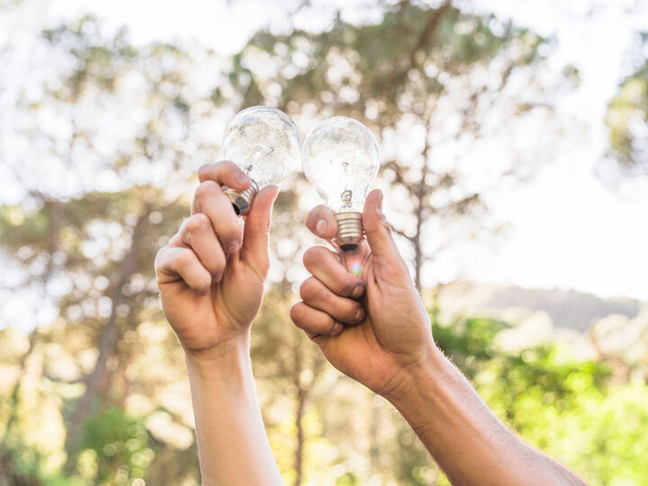 Manos sosteniendo bombillas en la naturaleza
